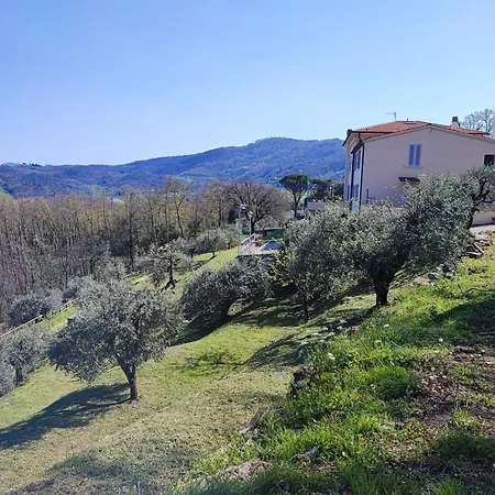 Adora Ferienhaus *